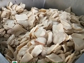 鹽水蘑菇、蘑菇罐頭和脫水蘑菇加工技術(shù)